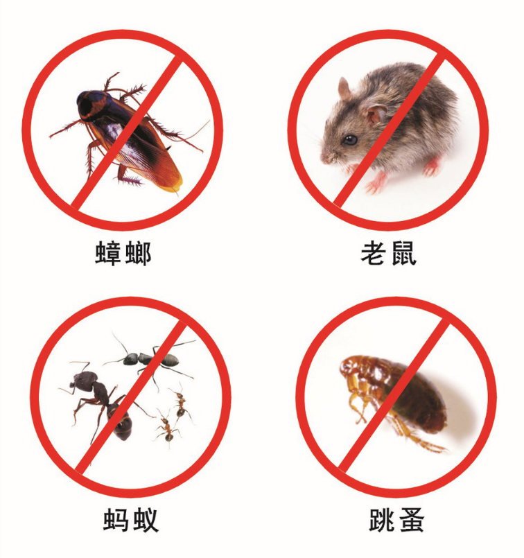 宿遷專業(yè)殺蟲(chóng)除四害.png