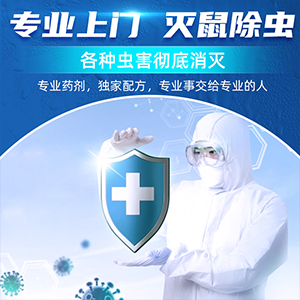 有沒有藥既能殺蟲又能殺卵，亮潔環(huán)境告訴你只有專業(yè)處理才能解決