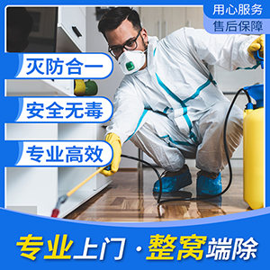 宿遷殺蟲公司滅蟑螂有哪些方法？