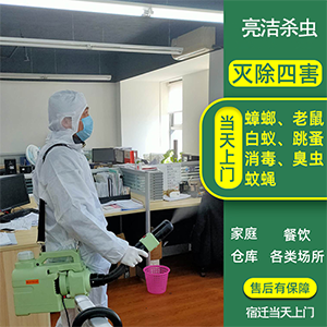 快速解決蟲害煩惱，宿遷殺蟲滅鼠公司哪家好？