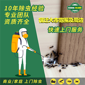 老鼠是不是引起這次西安出血熱疫情的罪魁禍?zhǔn)?></div>
            </a></li>
          
          <li id=